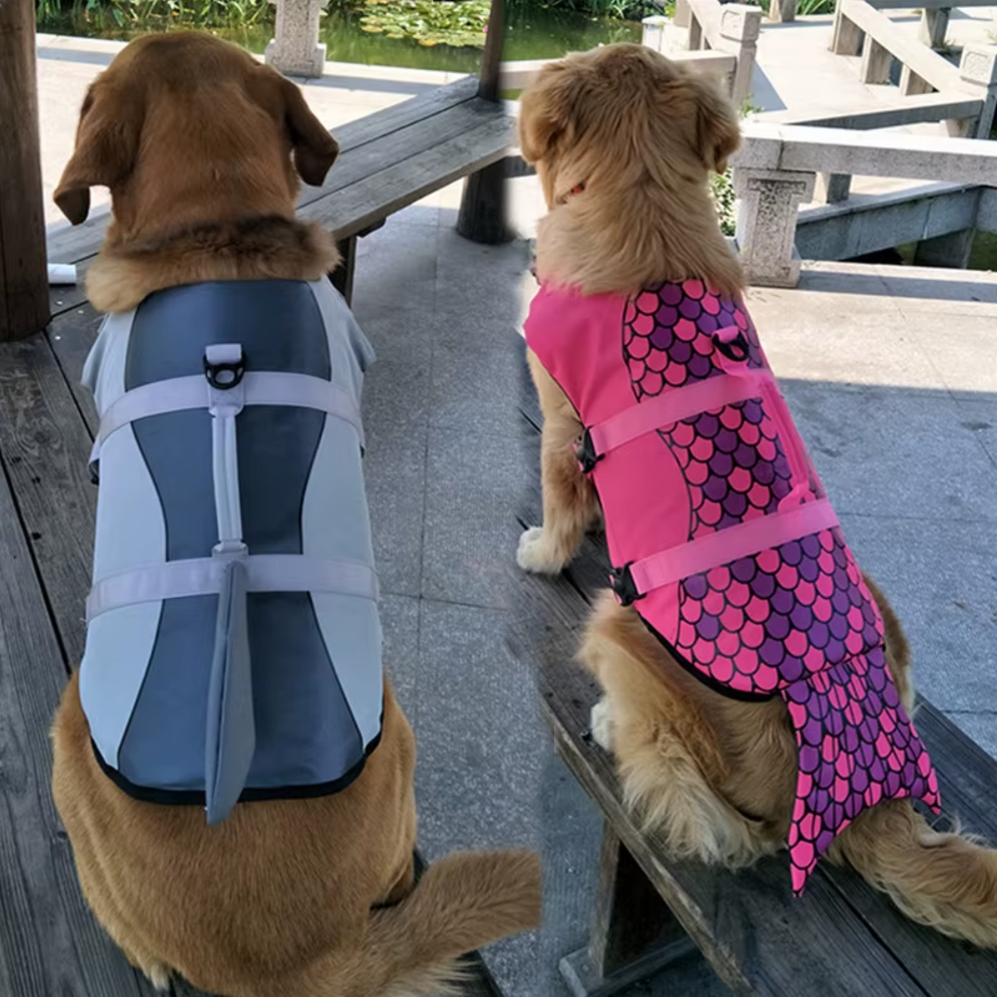 Chaleco Salvavidas para Perros + Calidad