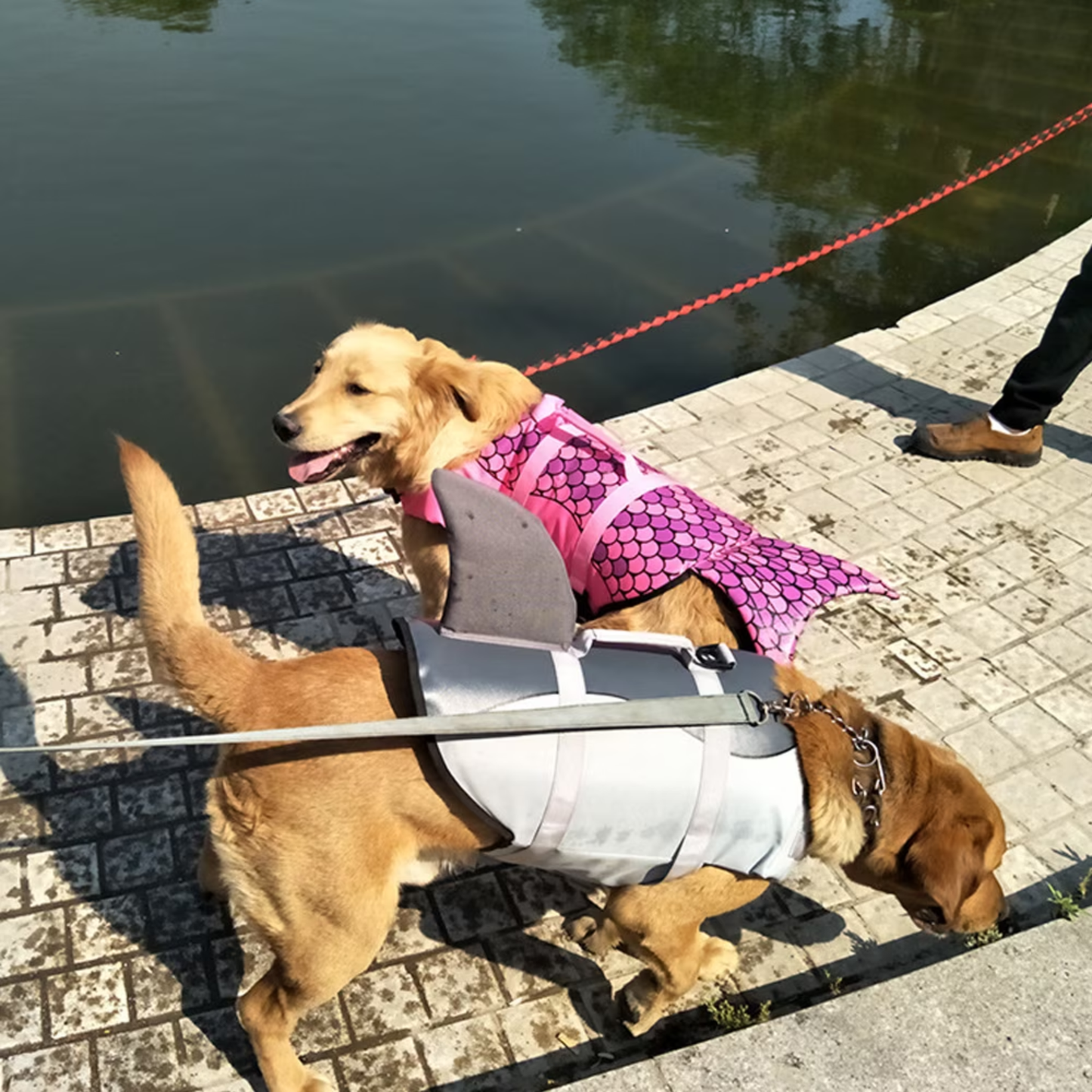 Chaleco Salvavidas para Perros + Calidad
