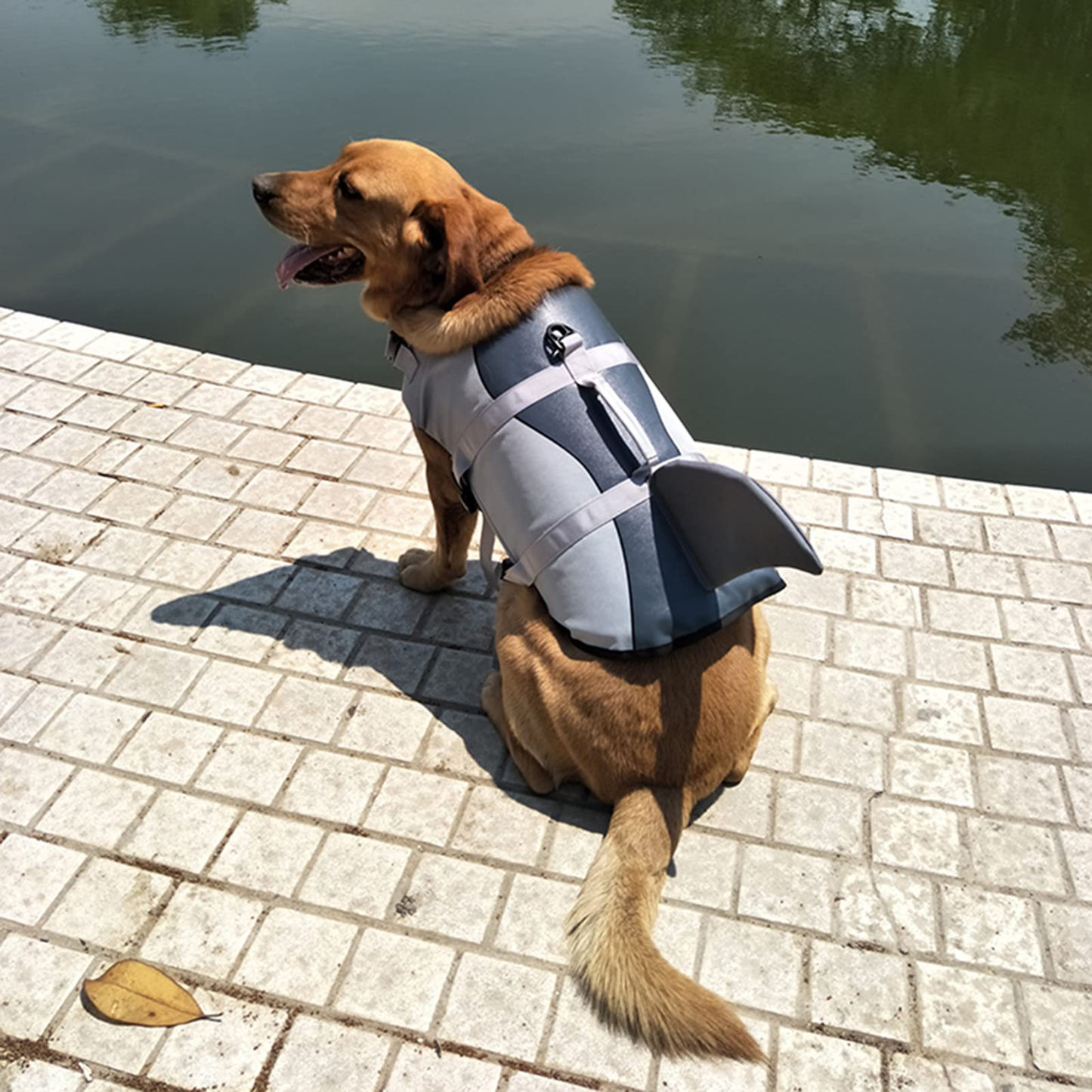 Chaleco Salvavidas para Perros + Calidad