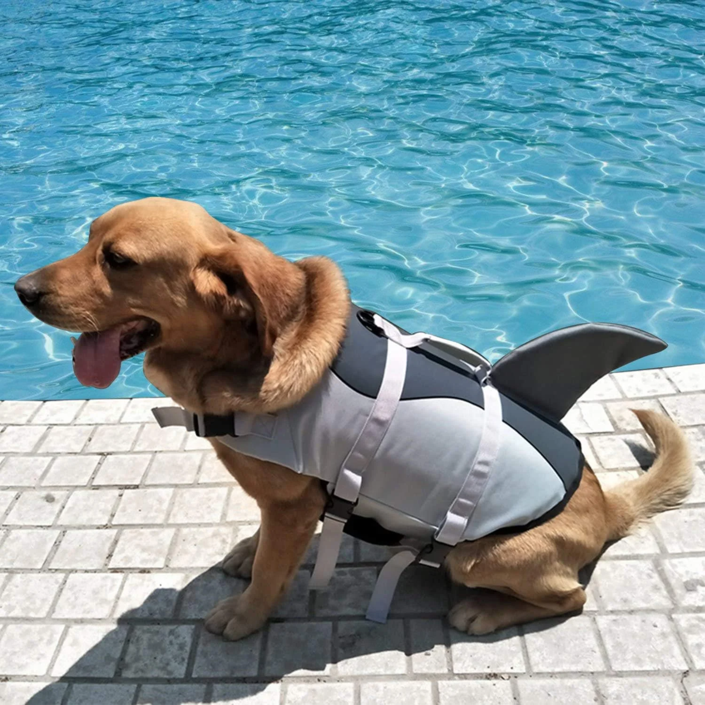 Chaleco Salvavidas para Perros + Calidad