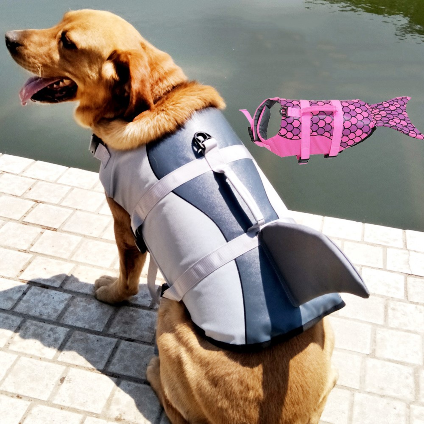 Chaleco Salvavidas para Perros + Calidad