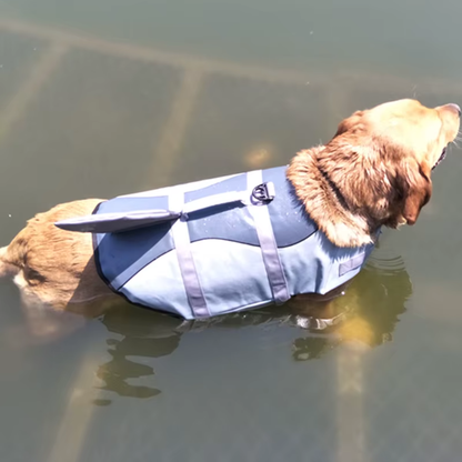 Chaleco Salvavidas para Perros + Calidad