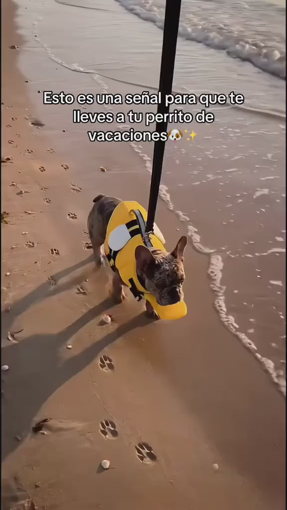 Cargar video: 